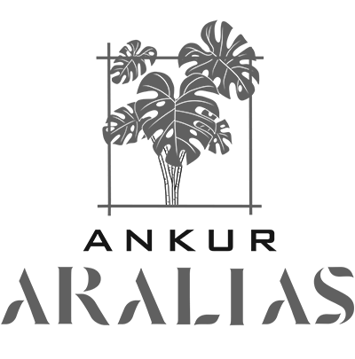 Ankur Aralias logo