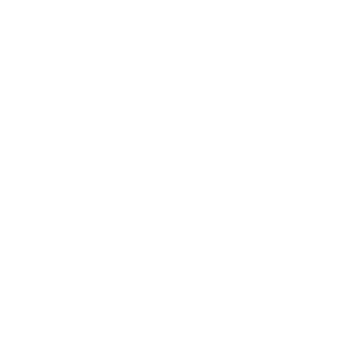 SVP Homes